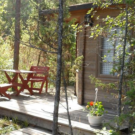 Paatsalu Camping Стая снимка