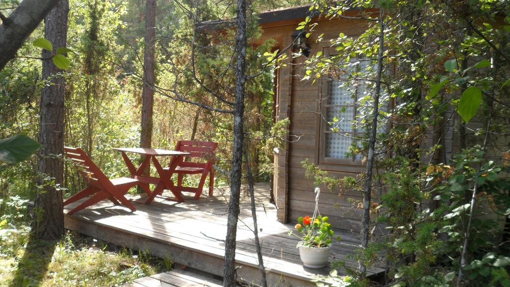 Paatsalu Camping Стая снимка